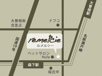 ルメルシー地図